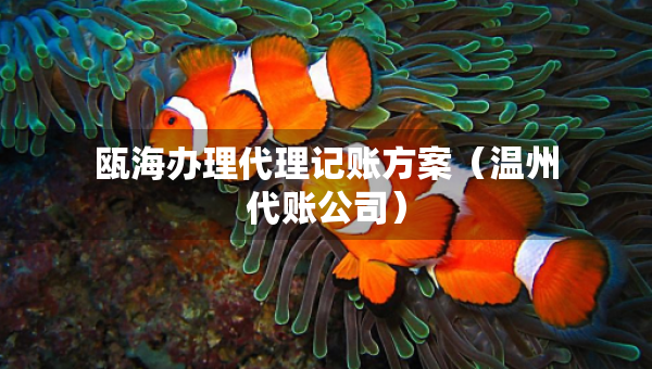 瓯海办理代理记账方案（温州代账公司）