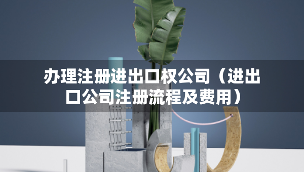 办理注册进出口权公司（进出口公司注册流程及费用）