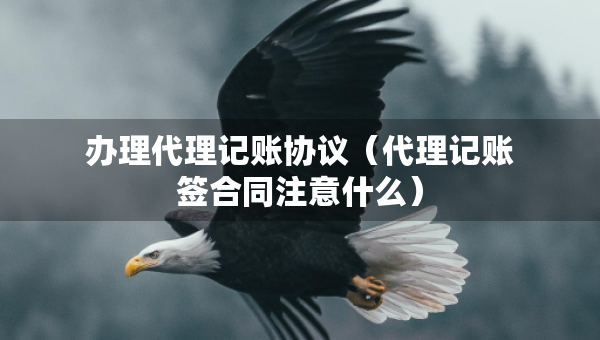 办理代理记账协议（代理记账签合同注意什么）