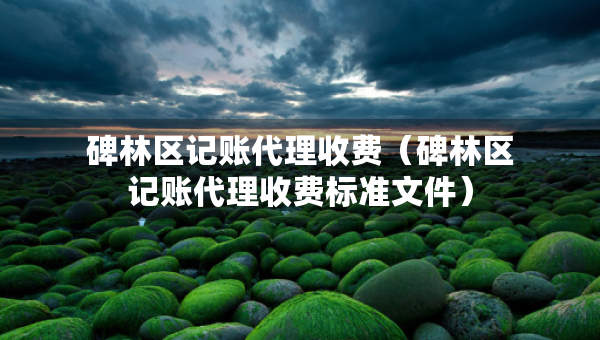 碑林区记账代理收费（碑林区记账代理收费标准文件）