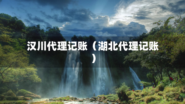 汉川代理记账（湖北代理记账）