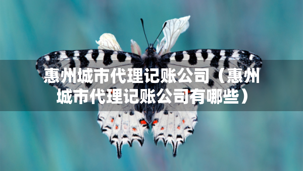 惠州城市代理记账公司（惠州城市代理记账公司有哪些）