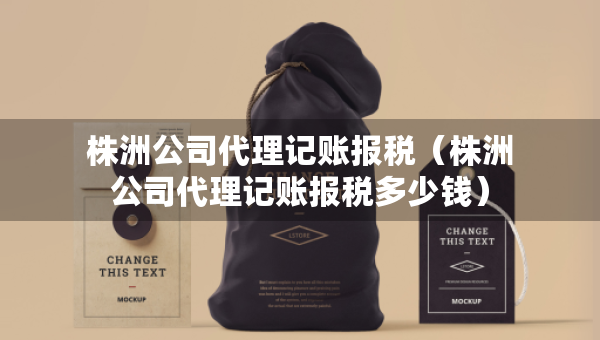 株洲公司代理记账报税（株洲公司代理记账报税多少钱）