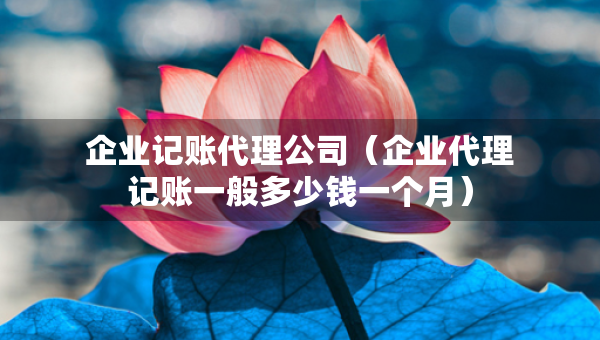 企业记账代理公司（企业代理记账一般多少钱一个月）