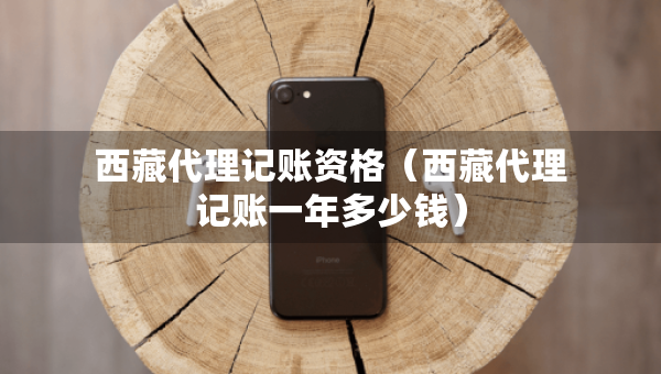 西藏代理记账资格（西藏代理记账一年多少钱）