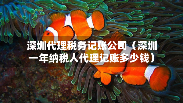 深圳代理税务记账公司（深圳一年纳税人代理记账多少钱）
