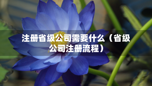 注册省级公司需要什么（省级公司注册流程）