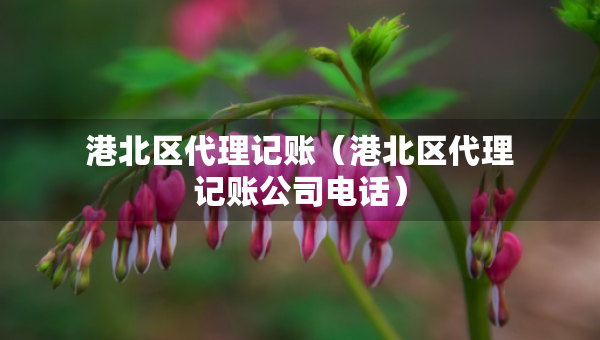 港北区代理记账（港北区代理记账公司电话）
