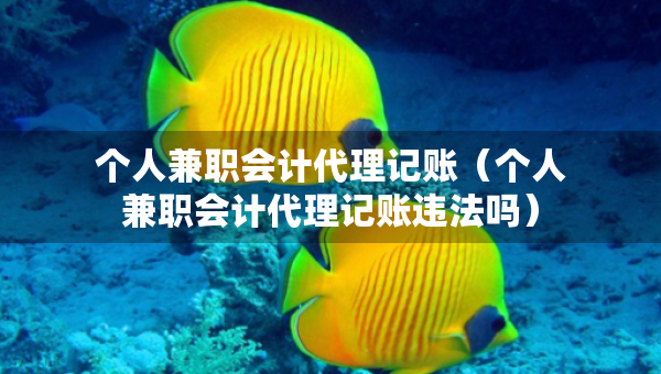 个人兼职会计代理记账（个人兼职会计代理记账违法吗）