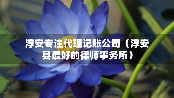 淳安专注代理记账公司（淳安县最好的律师事务所）