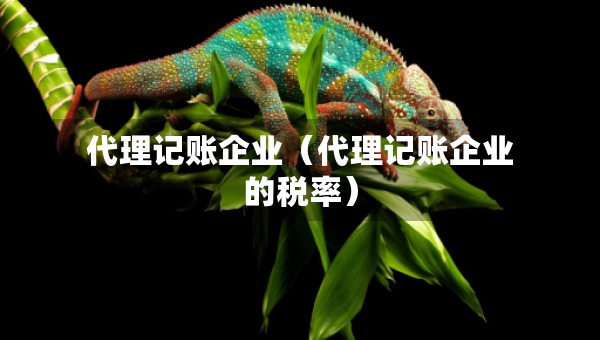 代理记账企业（代理记账企业的税率）