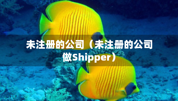 未注册的公司（未注册的公司做Shipper）