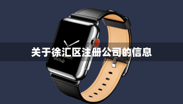 关于徐汇区注册公司的信息