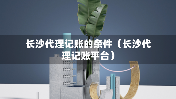 长沙代理记账的条件（长沙代理记账平台）