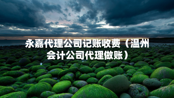 永嘉代理公司记账收费（温州会计公司代理做账）