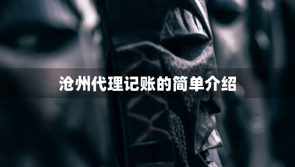沧州代理记账的简单介绍