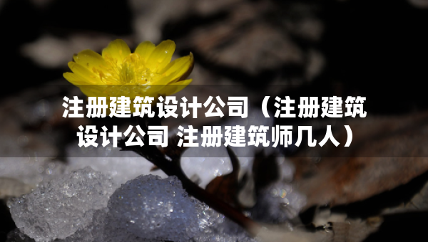 注册建筑设计公司（注册建筑设计公司 注册建筑师几人）