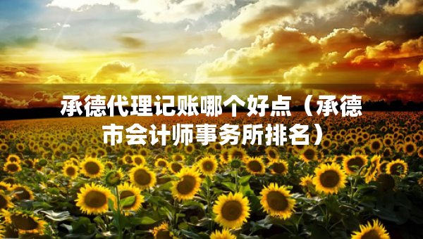 承德代理记账哪个好点（承德市会计师事务所排名）