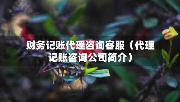 财务记账代理咨询客服（代理记账咨询公司简介）