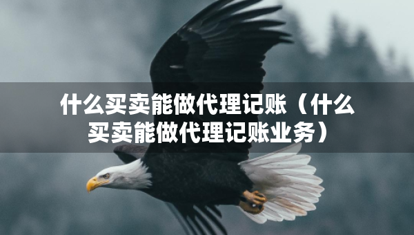 什么买卖能做代理记账(什么买卖能做代理记账业务) 什么买卖能做代理记账(什么买卖能做代理记账业务)