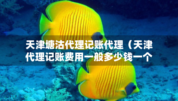 天津塘沽代理记账代理（天津代理记账费用一般多少钱一个月）