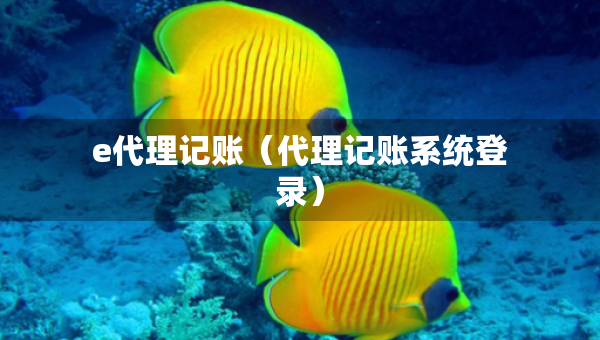 e代理记账（代理记账系统登录）