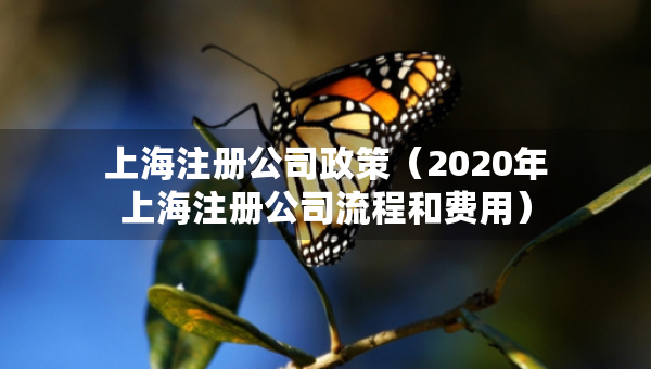 上海注册公司政策（2020年上海注册公司流程和费用）