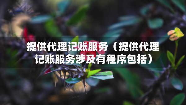 提供代理记账服务（提供代理记账服务涉及有程序包括）