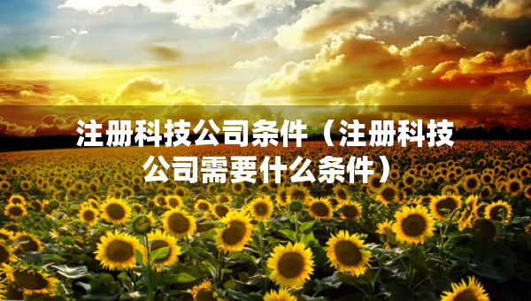 注册科技公司条件（注册科技公司需要什么条件）