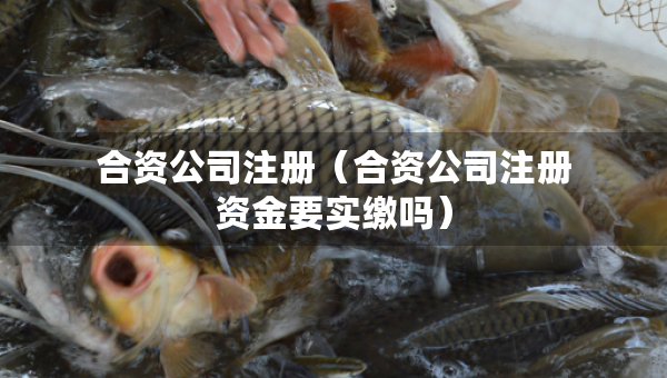 合资公司注册（合资公司注册资金要实缴吗）