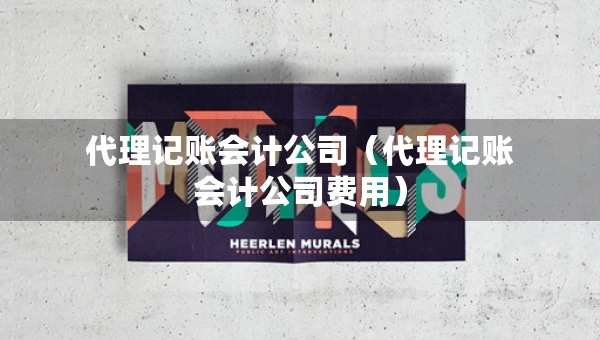 代理记账会计公司（代理记账会计公司费用）