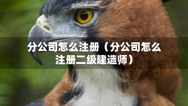 分公司怎么注册（分公司怎么注册二级建造师）