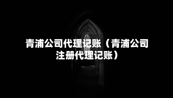 青浦公司代理记账（青浦公司注册代理记账）