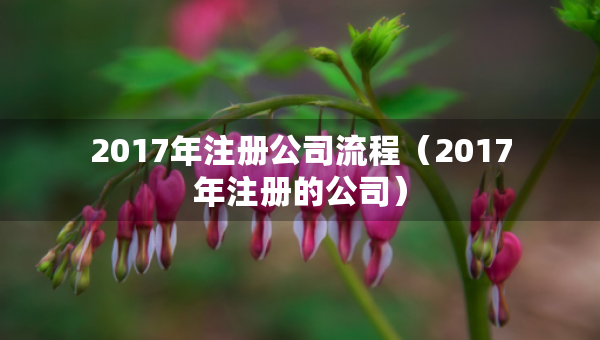 2017年注册公司流程（2017年注册的公司）