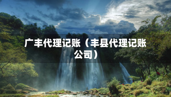 广丰代理记账（丰县代理记账公司）