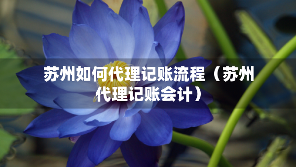 苏州如何代理记账流程（苏州代理记账会计）