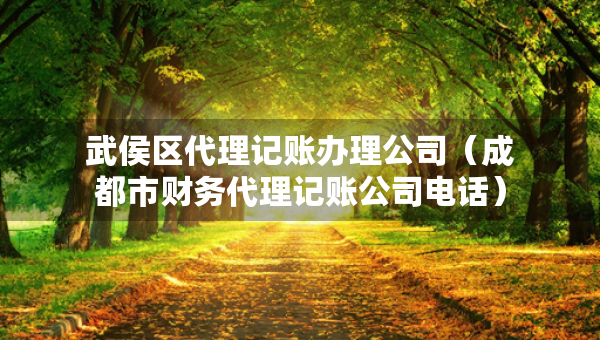 武侯区代理记账办理公司（成都市财务代理记账公司电话）