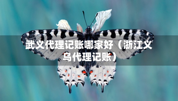 武义代理记账哪家好(浙江义乌代理记账) 武义代理记账哪家好(浙江义乌代理记账)