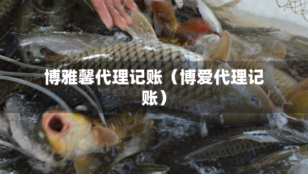 博雅馨代理记账（博爱代理记账）