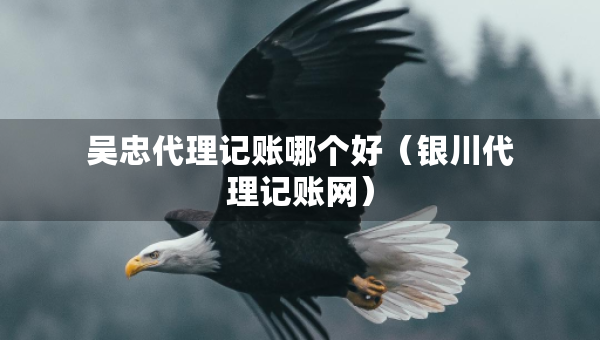吴忠代理记账哪个好（银川代理记账网）