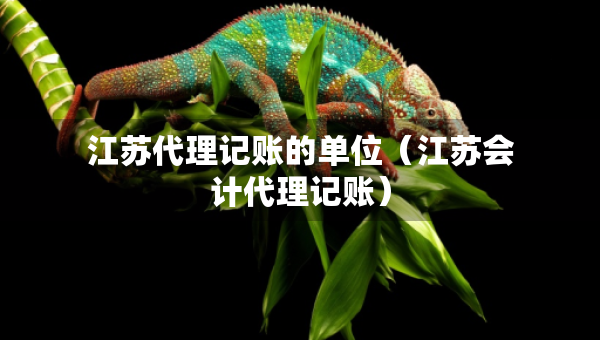 江苏代理记账的单位（江苏会计代理记账）