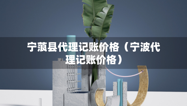 宁蒗县代理记账价格（宁波代理记账价格）