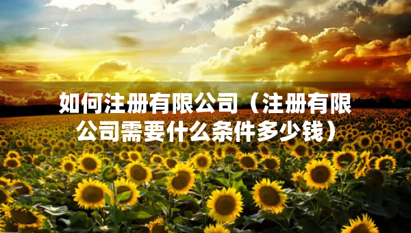 如何注册有限公司（注册有限公司需要什么条件多少钱）