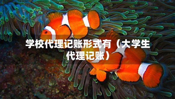 学校代理记账形式有（大学生代理记账）