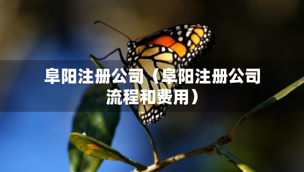 阜阳注册公司（阜阳注册公司流程和费用）