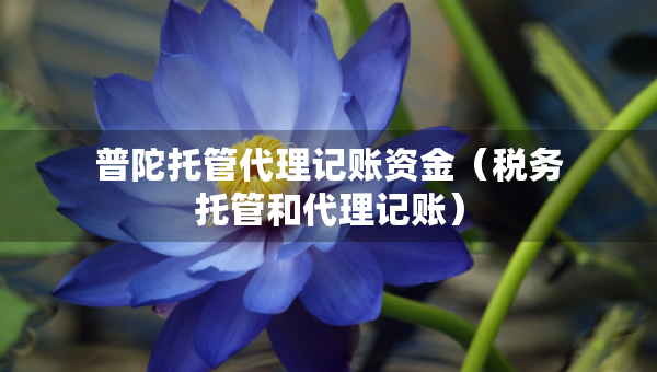 普陀托管代理记账资金（税务托管和代理记账）