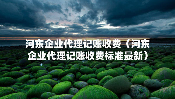 河东企业代理记账收费（河东企业代理记账收费标准最新）