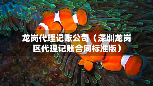 龙岗代理记账公司（深圳龙岗区代理记账合同标准版）