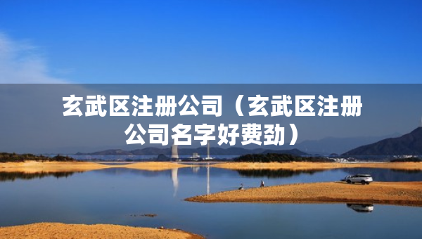 玄武区注册公司（玄武区注册公司名字好费劲）