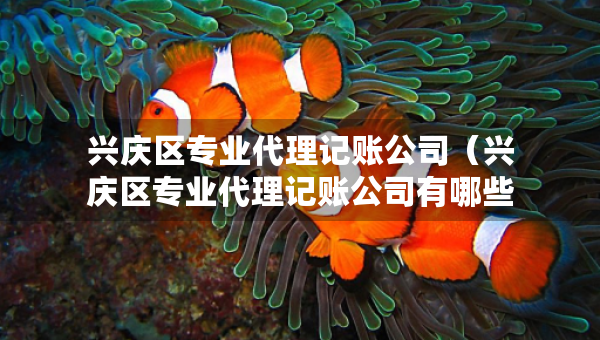 兴庆区专业代理记账公司（兴庆区专业代理记账公司有哪些）